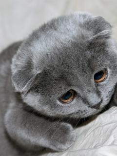 Юлия Карвонен ☼ | Калевала