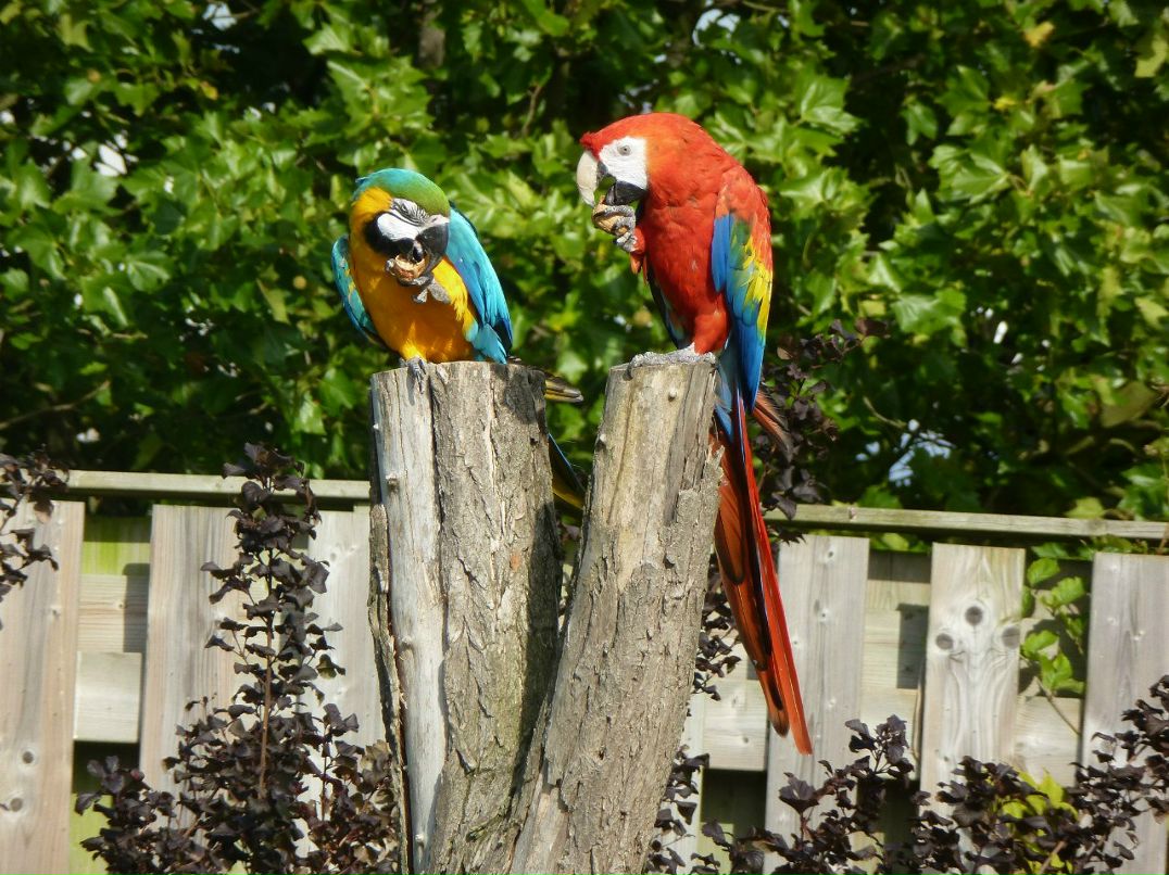 Наталья Мауритц | Санкт-Петербург
