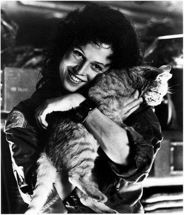 Леонид Никитенко | Ростов-на-Дону