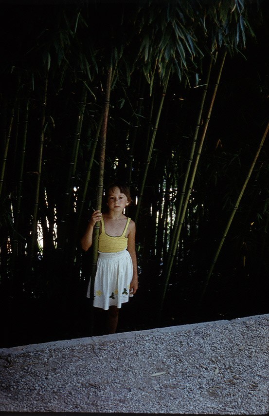 Лена Мышкина | Симферополь