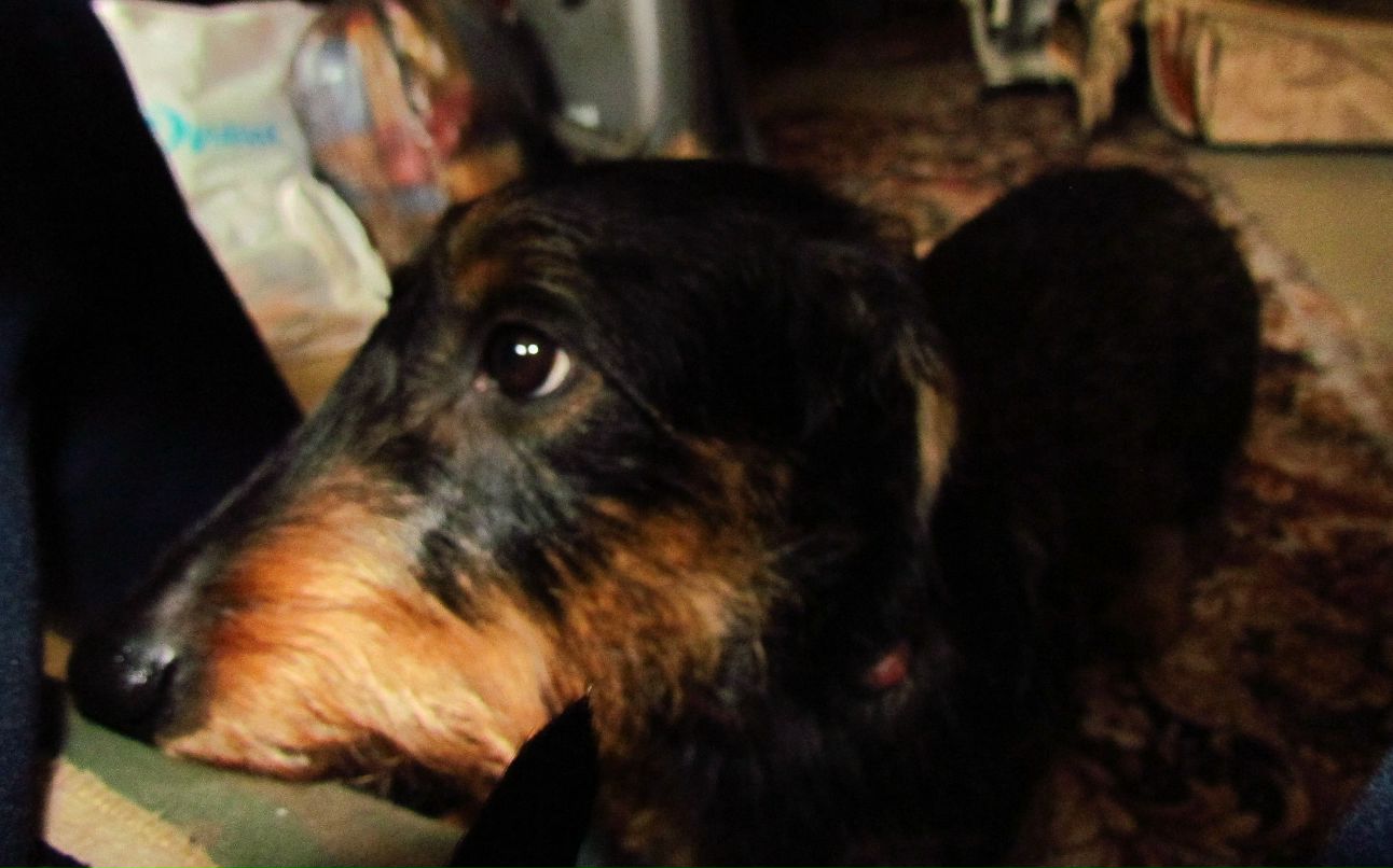 Анна Большакова | Москва