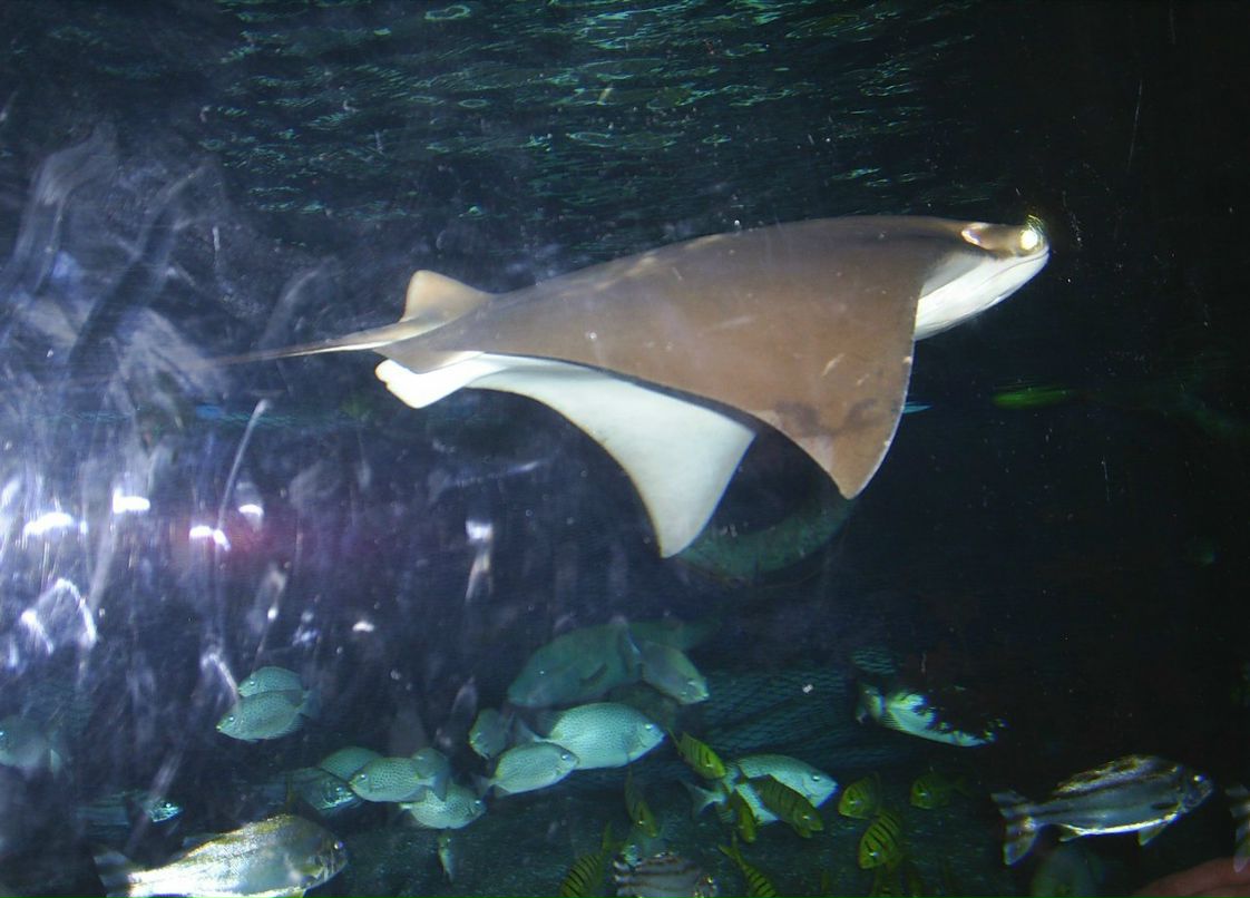 Сергей Пономарев ˙·٠✈ | Новосибирск