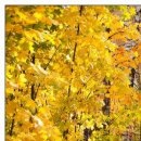 №92, Олег Водинов, Череповец №92, Олег Водинов, Череповец