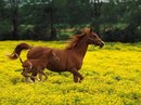 Фотография Федоровой Оли