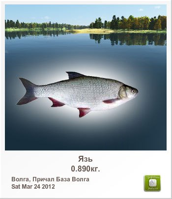 Олександр Кривоносюк | 