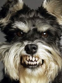 Артем Лемаев Green_Devil | Жирновск