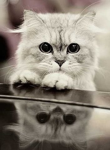 Joo Joy | Санкт-Петербург