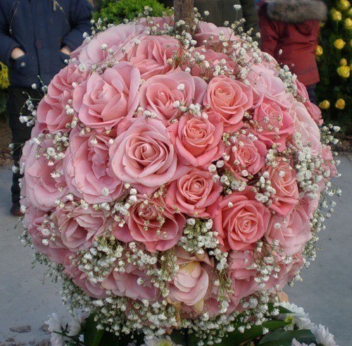 Павел Митрошенко | Новосибирск