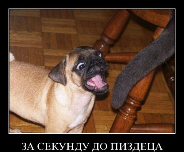 Александр Зубченко ┌∩┐(◣_◢)┌∩┐ :. ஜ``$-ZUB-$``ஜ.: | Черкассы