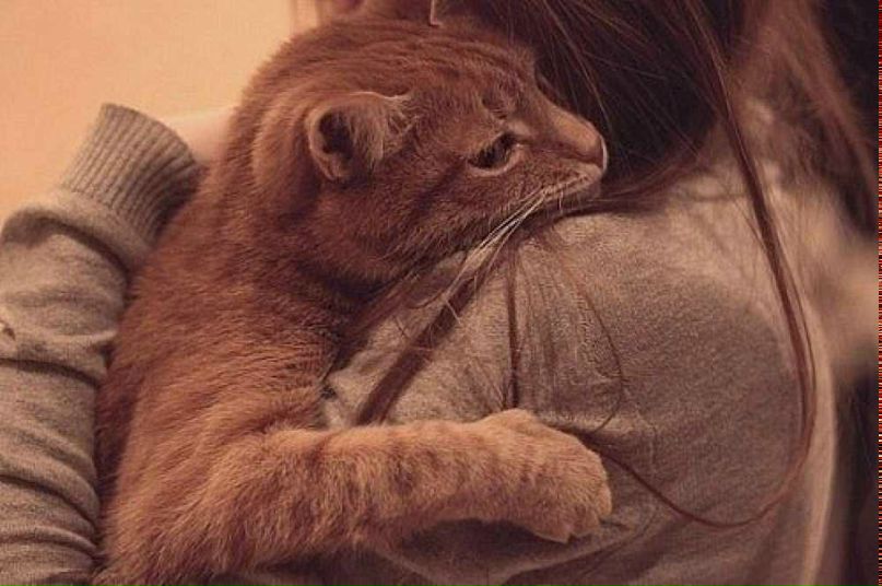 Los Angeles | Los Angeles