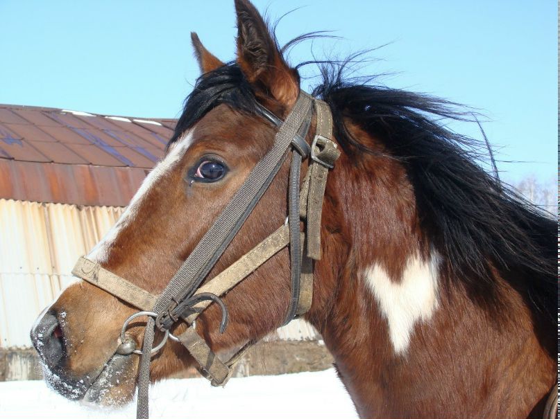 Яна Гарипова love миловка:D | Уфа