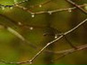 Алексей Разов Сергеевич | Тула