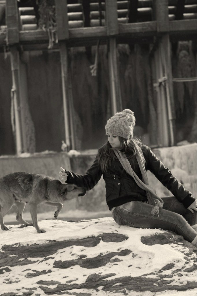 Эдвард Жуковский | Краснодар