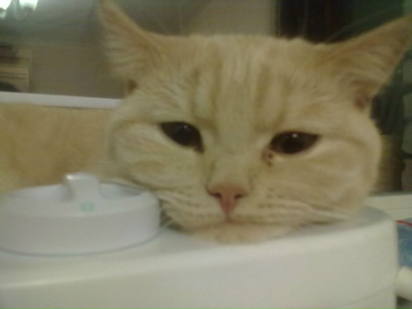 Екатерина Мошкова | Иркутск