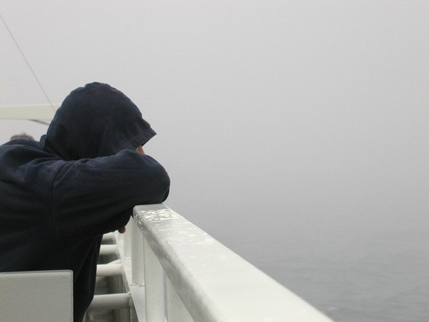 Сергій Кушнір | 