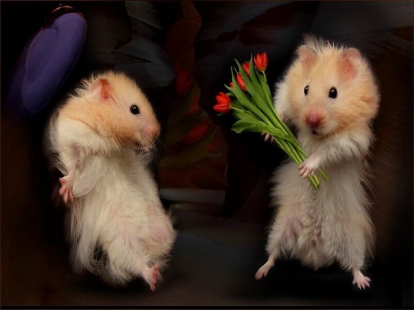 №85, Валентина Столярчук, Севастополь №85, Валентина Столярчук, Севастополь