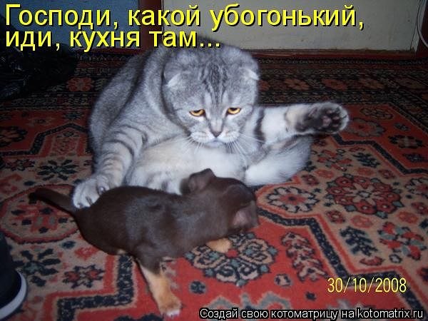 Анастасия Калугина | Редкино