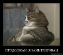Фотография Анатолий Румянцев