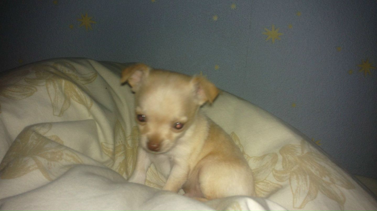 Лариса Першина | Красноярск