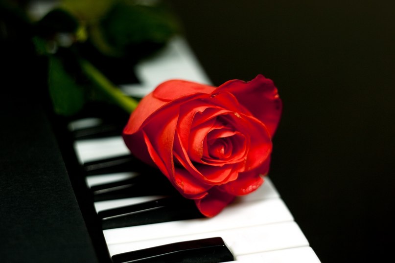 Александра Бондаренко | Запорожье