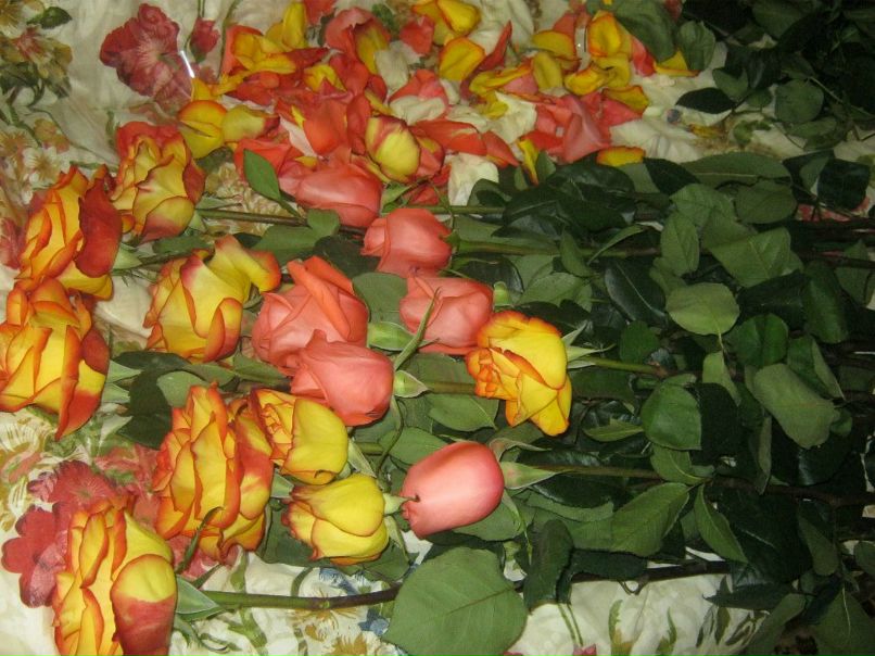 Вера Колюхина | Ногинск