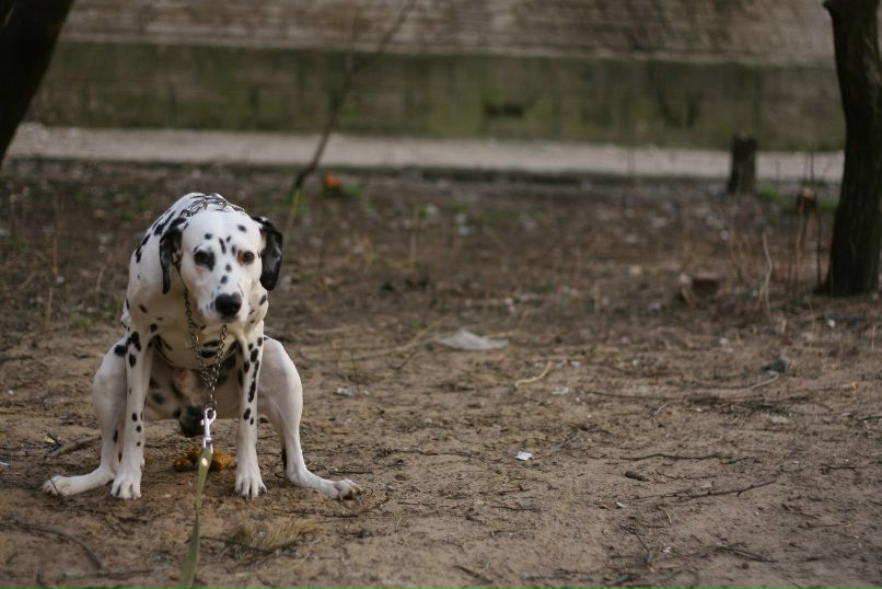 Славик Аджигитов | Москва