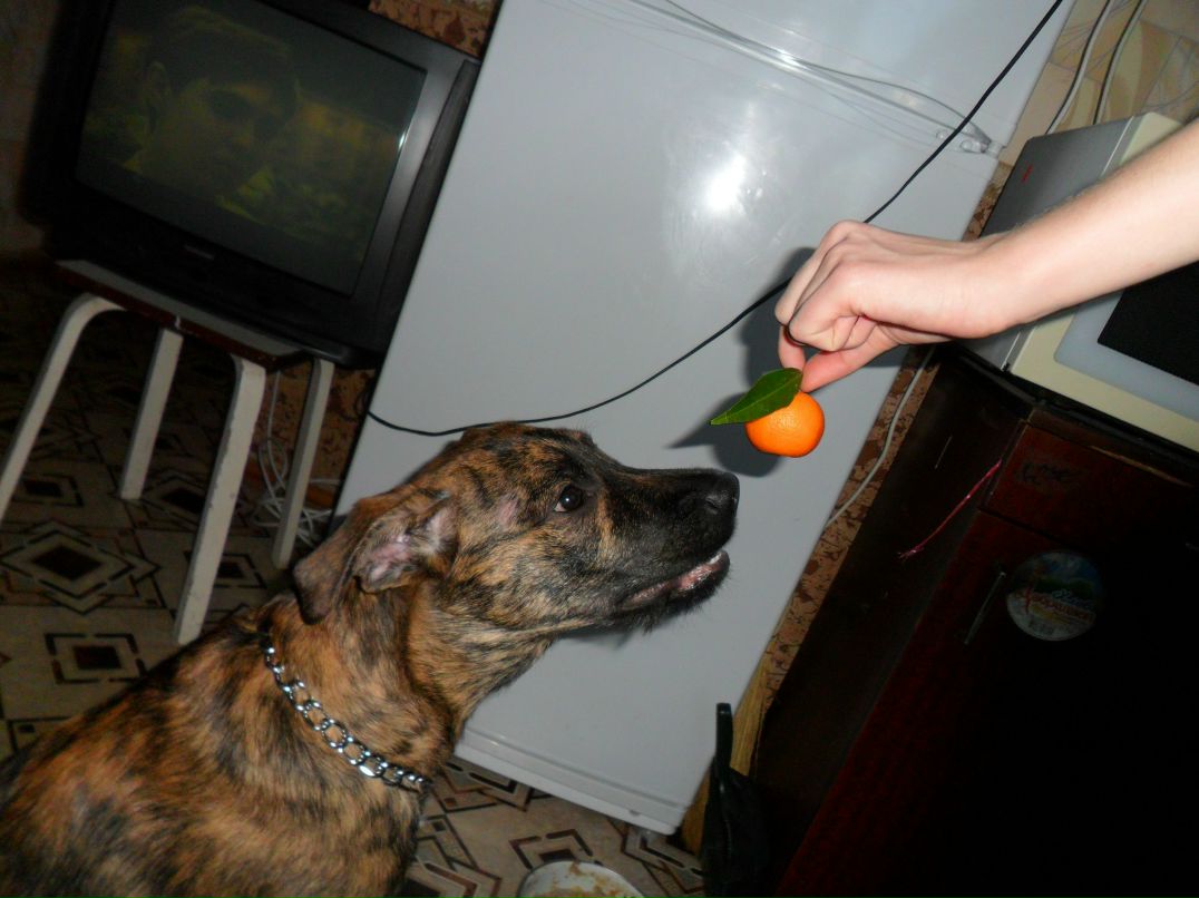 Александр Колодей 웃♥유 | Жлобин