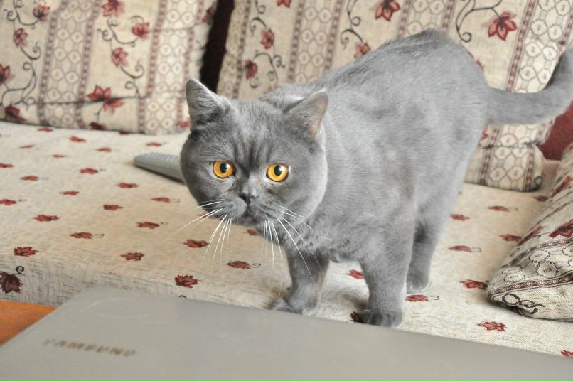 Ира Ибрагимова | Харьков