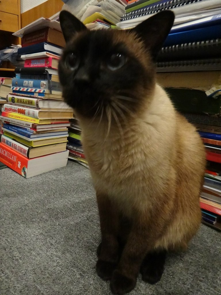 Григорий Петров | Москва