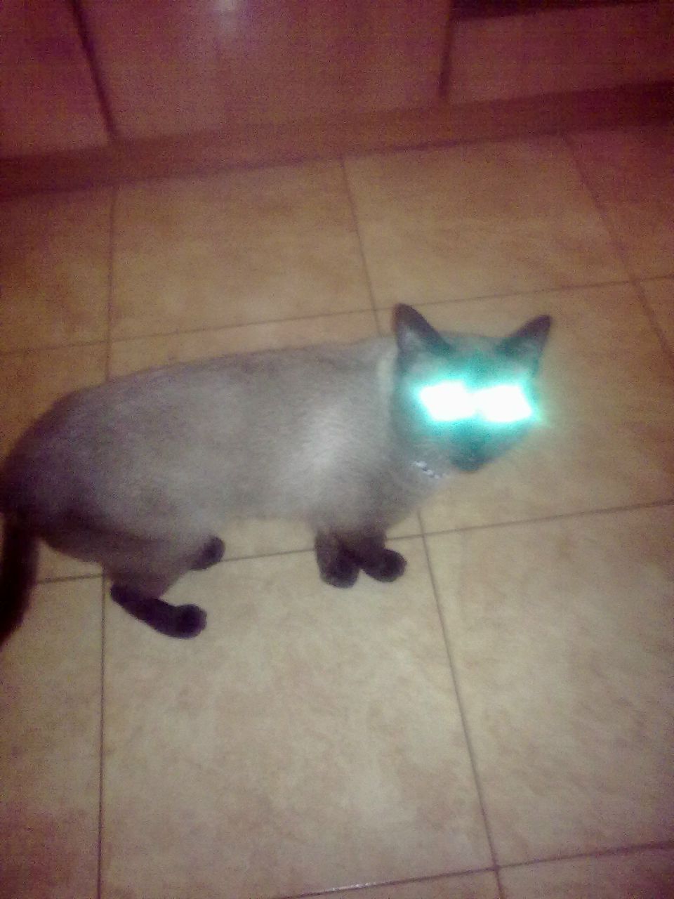 Инна Полфёрова | Фрязино