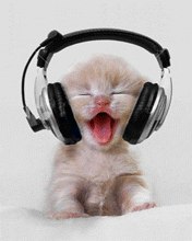 №72, Руслан Новожилов, 32 года, Вологда №72, Руслан Новожилов, 32 года, Вологда