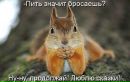 Фотография Елена Яшина