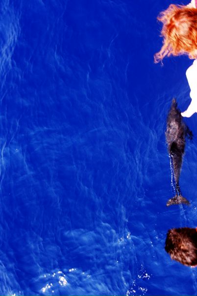 №133, Mehmet Aydogdu, 42 года, Antalya, Турция №133, Mehmet Aydogdu, 42 года, Antalya, Турция