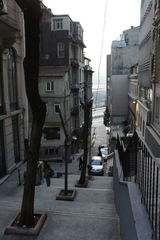 Роман Шипилов | Санкт-Петербург