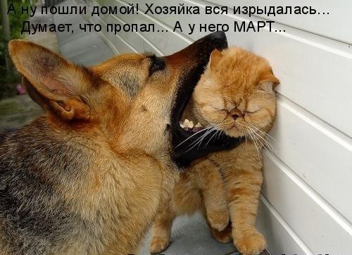 Василина Носкевич | Львов