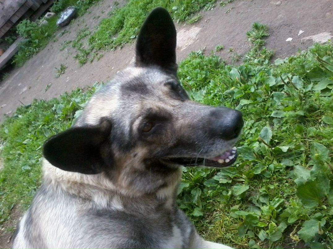 Валентина Шаталова | Великий Новгород