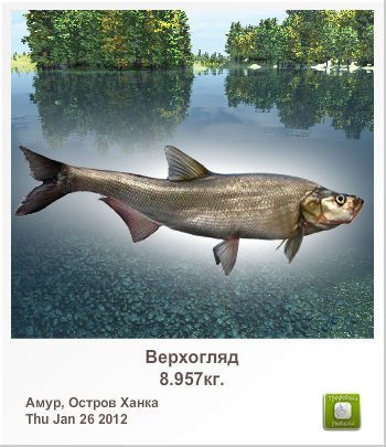 Сергей Нарута | Минск