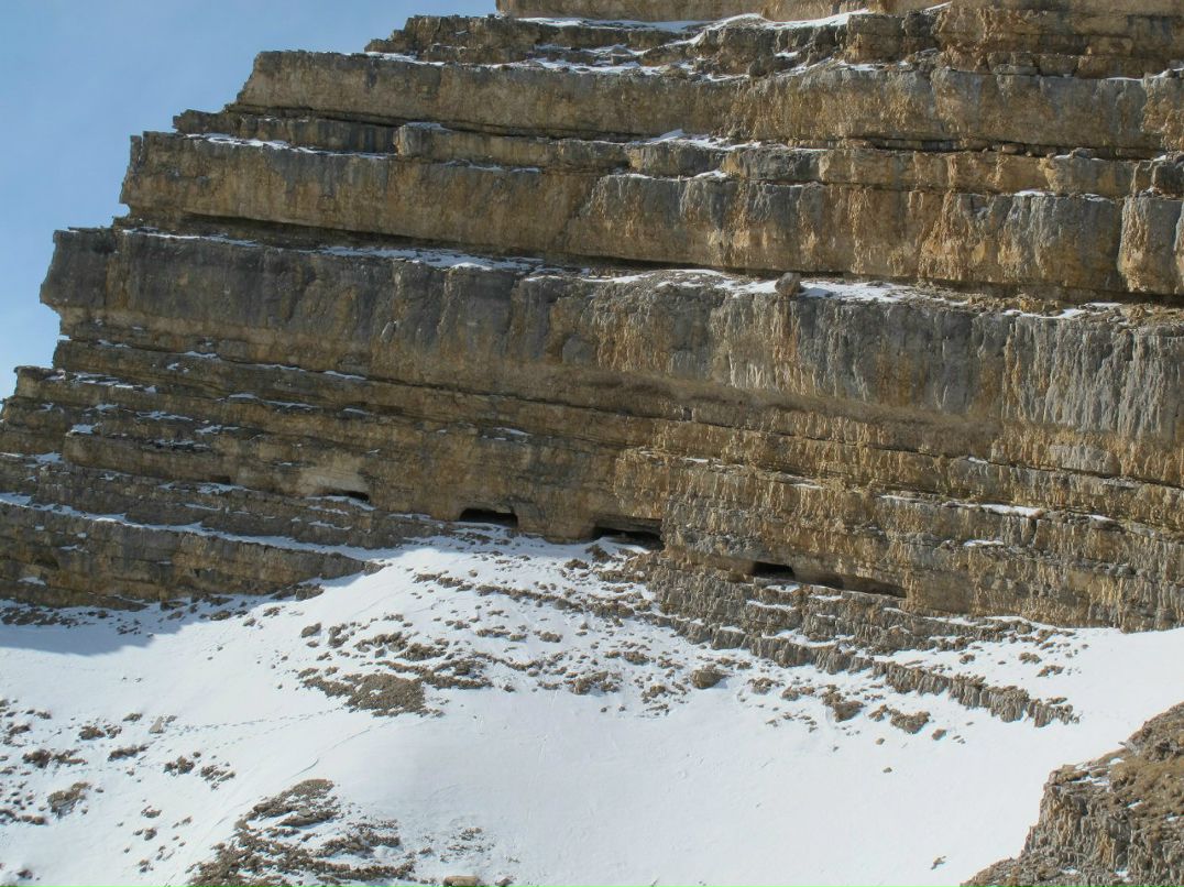 Антон Барабашов Барабашка | Санкт-Петербург