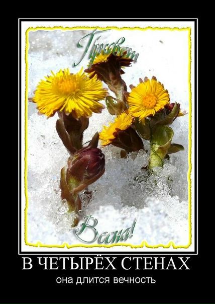 №119, Иван Вениаминович, Снегиревка №119, Иван Вениаминович, Снегиревка