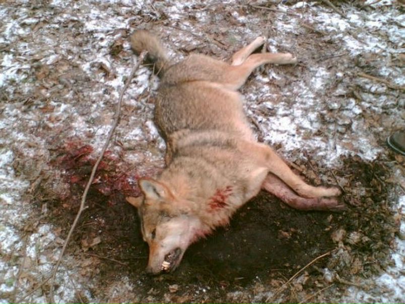 №146, Люба Панина, Санкт-Петербург, Россия №146, Люба Панина, Санкт-Петербург, Россия