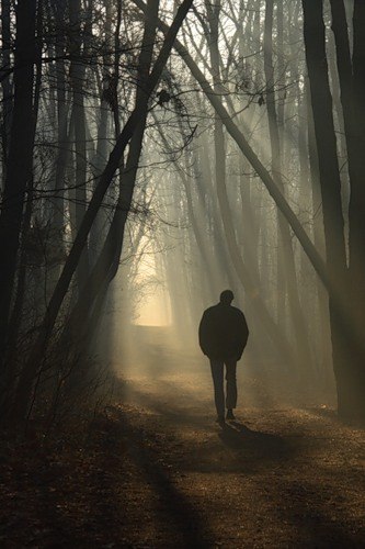 Денис Горбунов | 