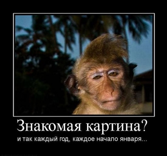 Алексей Лужнов | Миасс