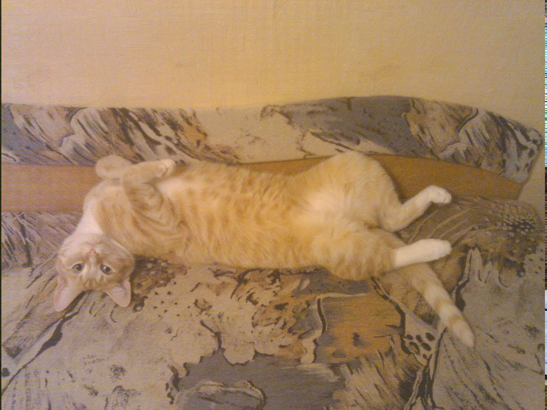 Вадим Михневич | Минск