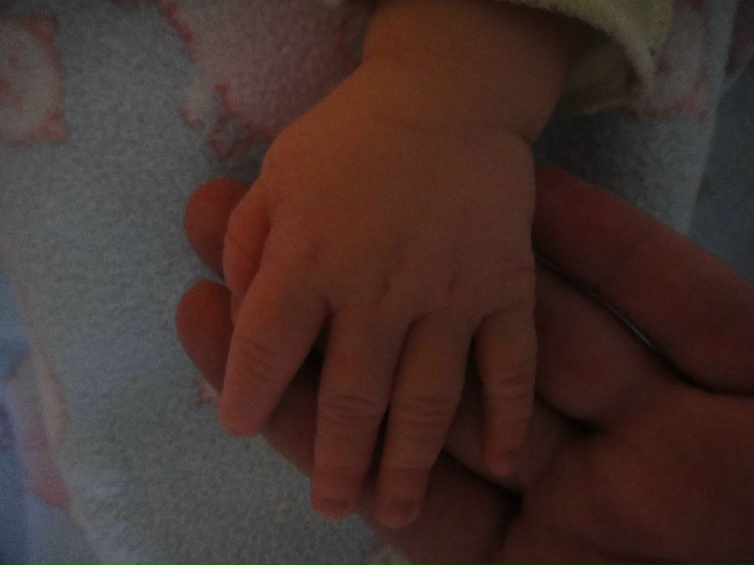 Анастасия Харитошина | Сочи