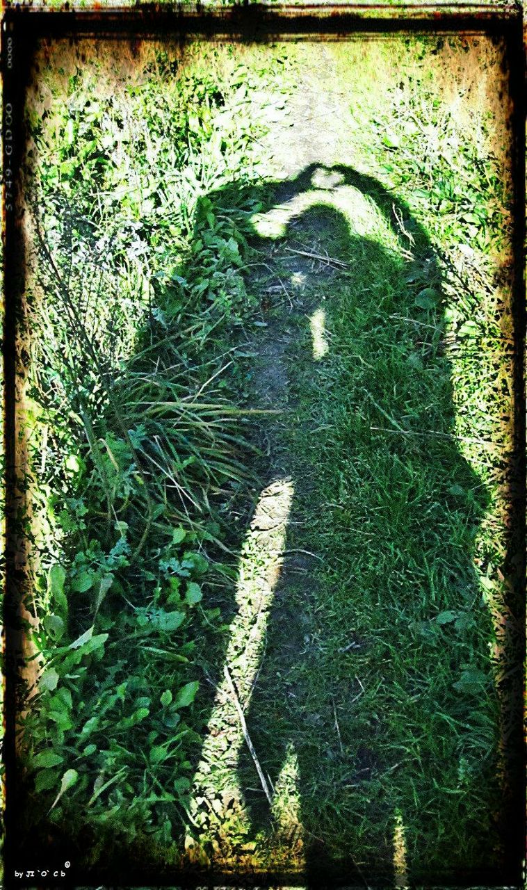 Александр Карпович | Минск