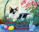 Фотография Кобяковой Людмилы