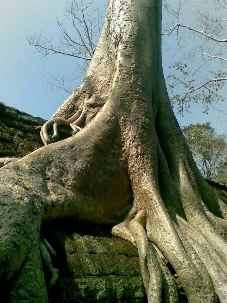 Валентина Нисина | Сыктывкар