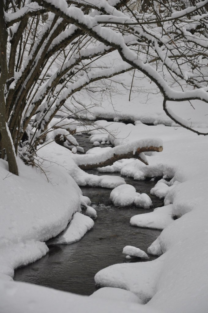 Ксения Кваша | Симферополь