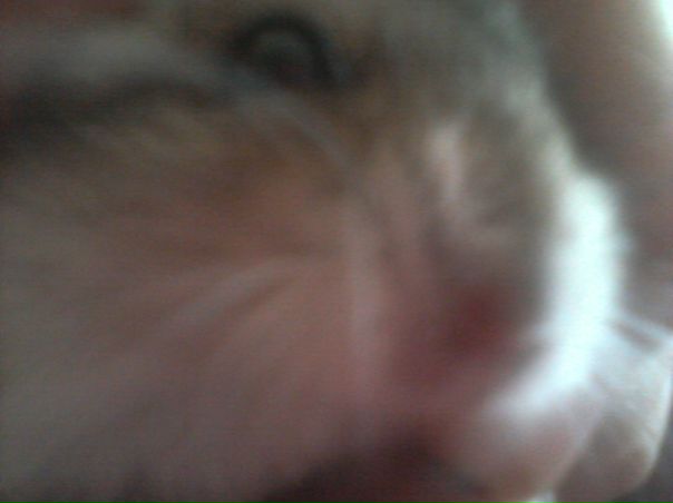 №40, Настя Брылина, Ульяновск №40, Настя Брылина, Ульяновск