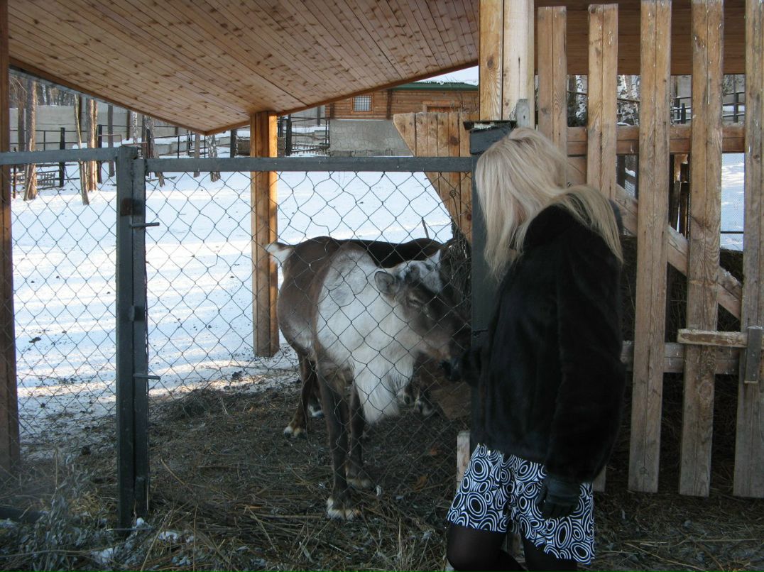 Александр Морозов | Железногорск